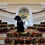 Hotel Royal Scarborough